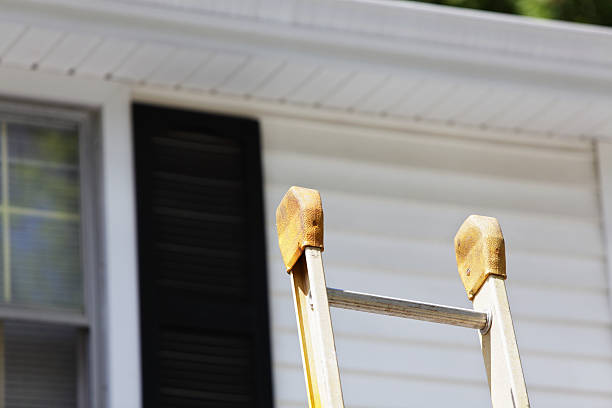 Best Custom Siding Design  in Marquette Heights, IL